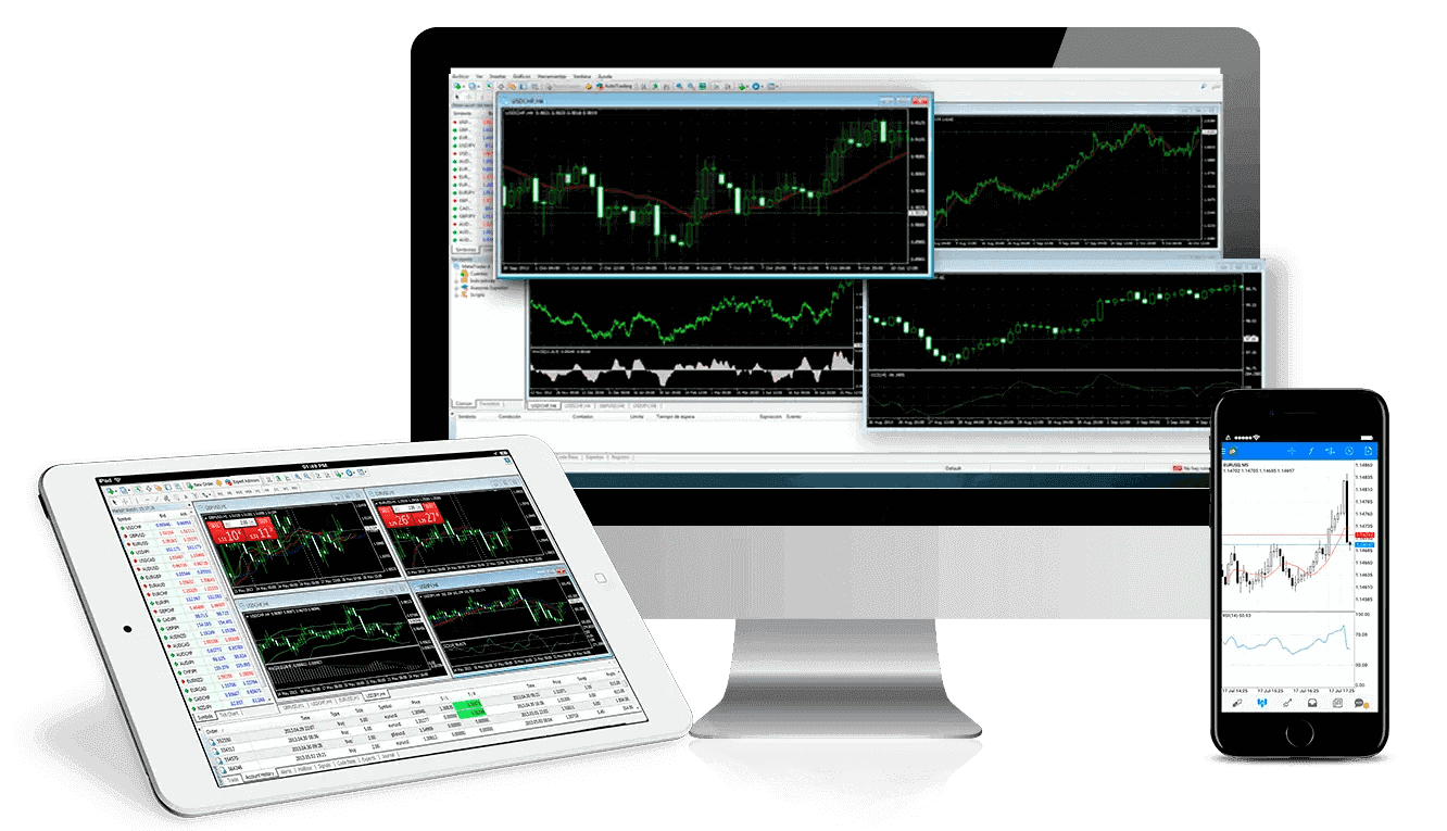 free forex signals